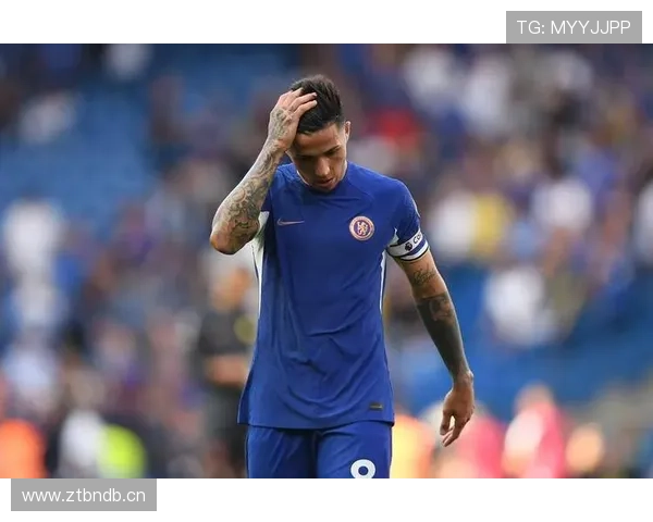 阿尔巴国家队近期表现稳健，攻防两端持续提升