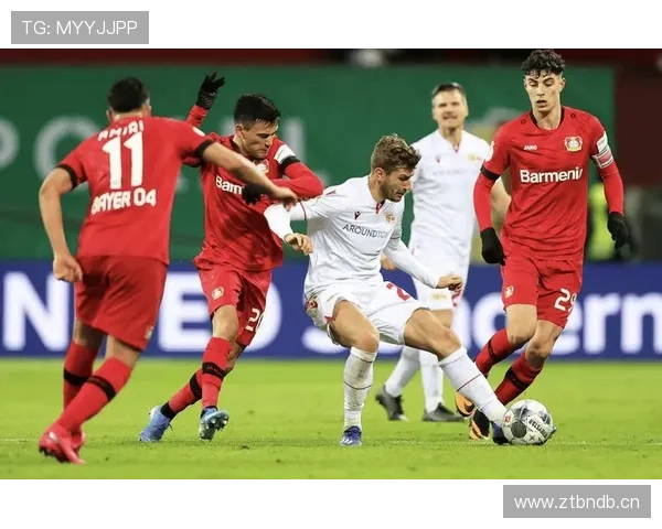 霍芬海姆本赛季表现稳健，竞争力持续提升